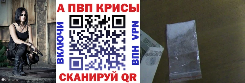 А ПВП СК КРИС  блэк спрут ссылка  Новая Ладога 