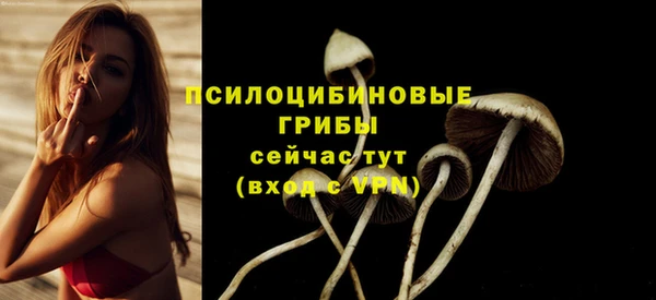 герыч Гусь-Хрустальный